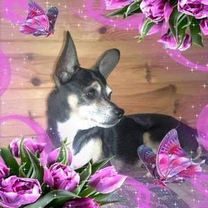 Meet your Posher, Brandie